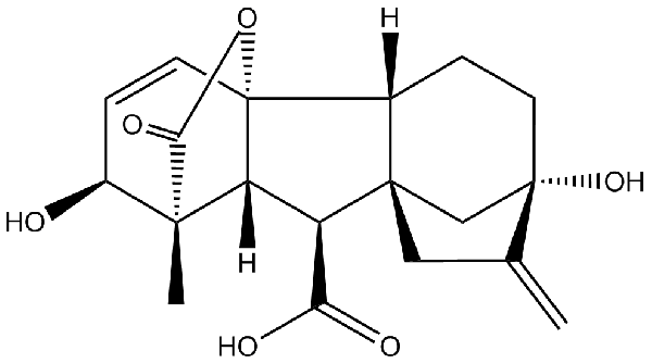赤霉素GIBBERELLIC ACID，居然有這么神奇？